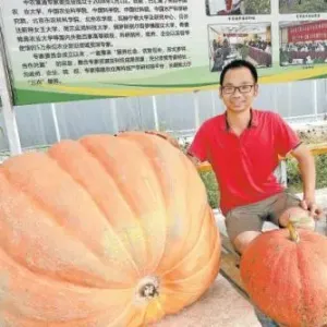 副中心来了“博士团”！