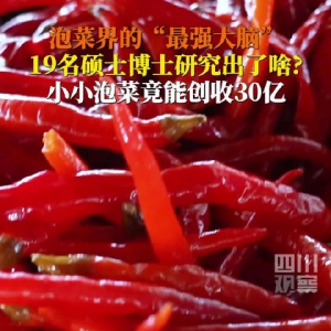 硕士博士助力，东坡泡菜卖了220亿！