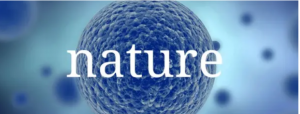 隆基科研成果再上《Nature》 !