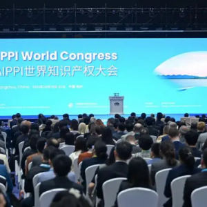 世界知识产权大会通过《2024年AIPPI杭州决议》