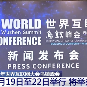 2024年世界互联网大会蓝皮书发布