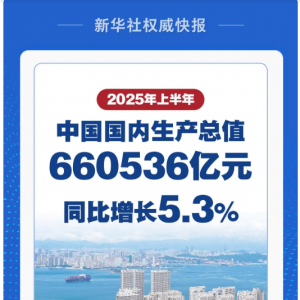 新华社：2025上半年中国经济同比增长5.3%