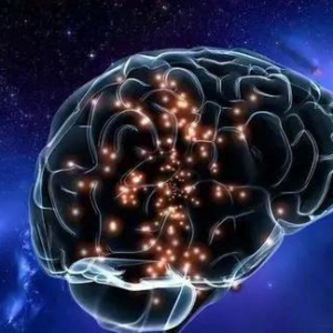 别说自己老了，人类大脑功能或60岁时达巅峰！